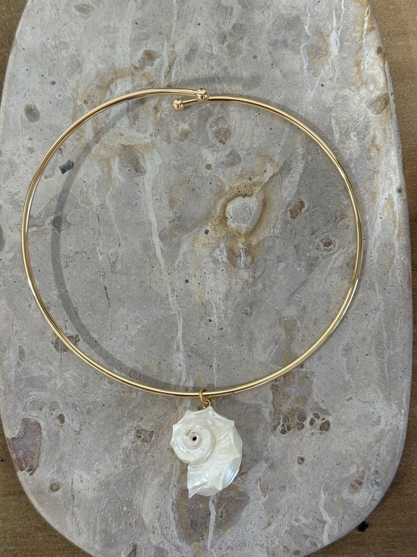 natular sea shell collar